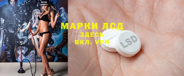 ГАЛЛЮЦИНОГЕННЫЕ ГРИБЫ Вязьма