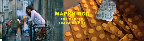 ГАЛЛЮЦИНОГЕННЫЕ ГРИБЫ Вязьма