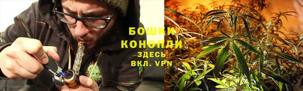 ГАЛЛЮЦИНОГЕННЫЕ ГРИБЫ Вязьма