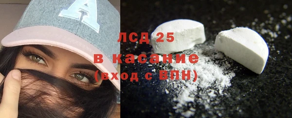 ГАЛЛЮЦИНОГЕННЫЕ ГРИБЫ Вязьма